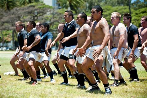 gehalt rugby spieler neuseeland